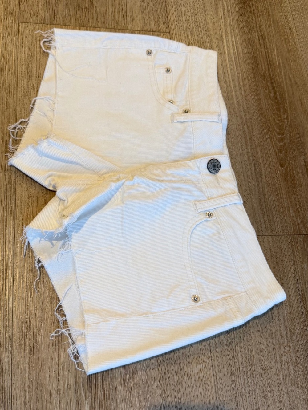 American Eagle Outfitters Shorts (Size 2)